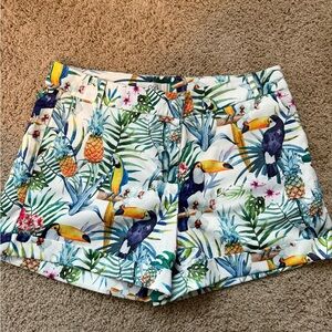 Ovi Tropical Bird Print Women Shorts
